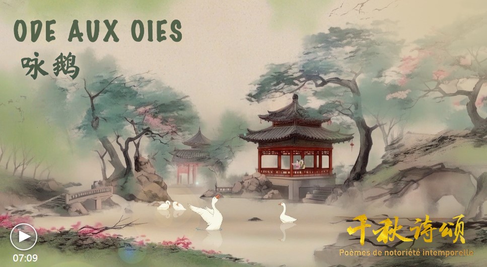 Poèmes de notoriété intemporelle Épisode 2 - Ode aux oies